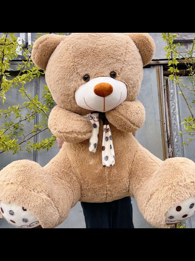 Огромный плюшевый мишка 180 см кремовый Барни