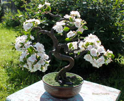 "Цветущий бонсай" ручной работы из полимерной глины.