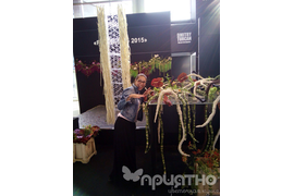 XXII Международна выставка цветов, растений, оборудования и материалов для декоративного садоводства и цветочного бизнеса «ЦВЕТЫ/FLOWERS-2015»