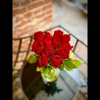 Роза Кения 50 см 15 шт