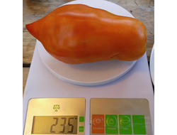 Томат Аббаттиста паста (Abbattista paste)