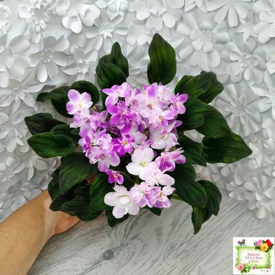 LV-Кирюша (Л. Шевелева) 2022 г. трейлер (клакамас)