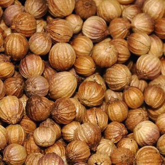 Кориандр (Coriandrum sativum) Россия, семена (5 мл) - 100% натуральное эфирное масло