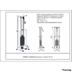 Блочный кинезиотренажер Биотонус-1 AR086 1х2200