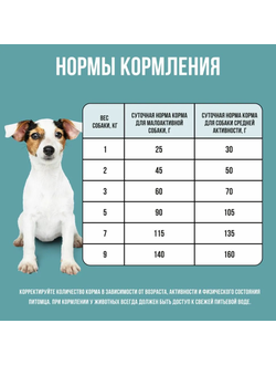 BOWL WOW (Боул Вау) корм сухой для собак мелких пород Индейка, Рис, Розмарин, 800 г