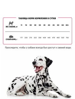 Karmy Sensitive Medium & Maxi (Карми Сенситив Медиум&Макси) для собак средних и крупных пород с чувствительным пищеварением, 2кг