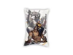 Подушки Borderlands, Бордерленд №46