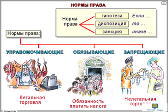 Право (20 шт), комплект кодотранспарантов (фолий, прозрачных пленок)