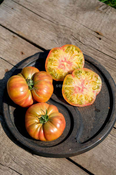 Томат Ярсон 7/1 (Jarson 7/1), 10 шт