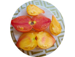 Томат Оранжевый слон минусинский