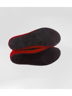 Борцовки для самбо ВФС BRAVEGARD Ascend красно-синие