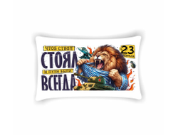 Подушка горизонтальная #6 на 23 февраля
