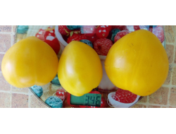 Томат гном Лимонный лед (Dwarf Lemon Ice, дварф Лемон айс) США
