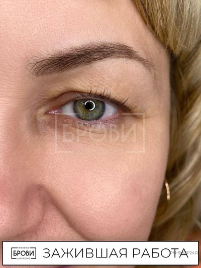 Спелая пшеница Брови Анны Куцеволовой - pm-shop24.ru