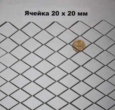 setka-tspvs-otsinkovannaya-20x20