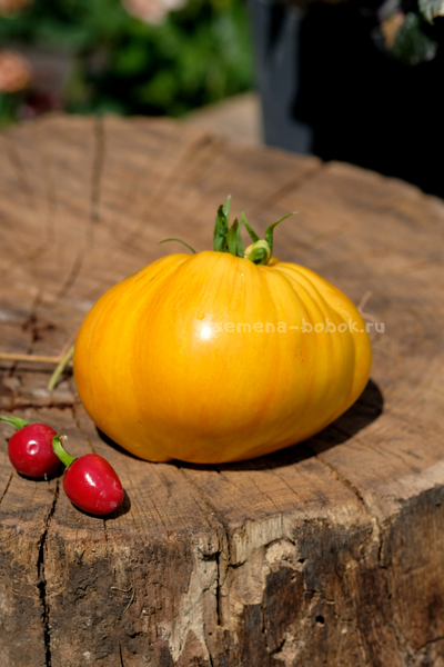 Томат Дынный Ликёр, 10 шт