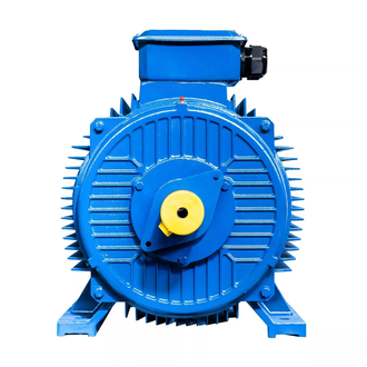 Электродвигатель 5АИ 200L8 (22 кВт)