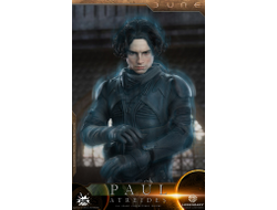 Пол Атрейдес (Тимоти Шаламе, "Дюна") - Коллекционная ФИГУРКА 1/6 scale Dune Paul Atreides (DL003) - AUG TOYS
