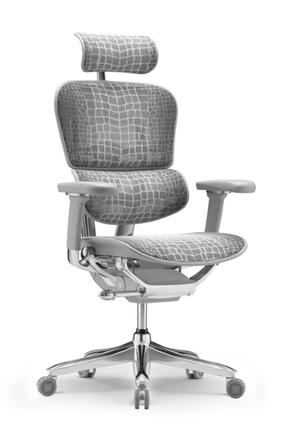 Кресло Comfort Workspace Ergohuman Everest Special Edition