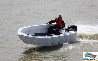 Тент на лодку Trident 450 (no console)