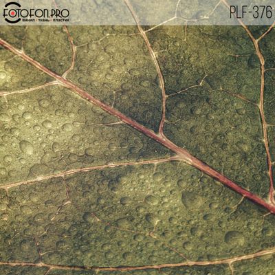 Пластиковый фотофон «Роса»