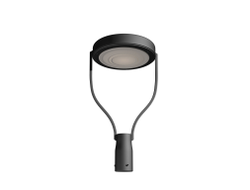 Парковый светильник Стрит Шайба 2 Led 50W