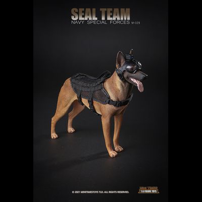 Американский морской котик с собакой - КОЛЛЕКЦИОННАЯ ФИГУРКА 1/6 SEAL TEAM NAVY SPECIAL FORCES (M029) - MINITIMES