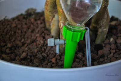 Ороситель на бутылку для полива растений (цвет микс)