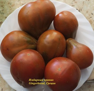 Томат Имбирный Пряник (Gingerbread, Греция)