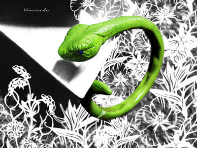 Браслет "Змей-искуситель"