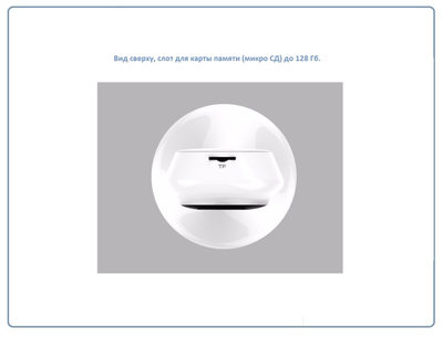 Видеоняня /WiFi видеокамера панорамная с DVR (fishEC12 белая), Full HD (360EyeS)