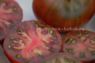 Томат Dwarf Maura’s Cardinal (Гном Кардинал Маура), 10 шт