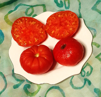 Семена томата Чоэмато Гном