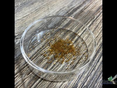 SwetAqua Shrimp Feeding - Кормушка для креветок стеклянная 70мм