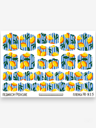 Пленки для педикюра 9,5*13,5 см PR-815