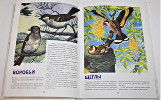 Энциклопедия животных. Перевод с англ. М. Авдониной. М.: Эксмо. 2006.