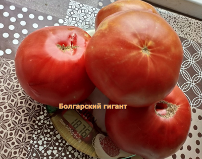 Томат Болгарский гигант (Bulgarian giant)