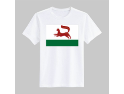 Футболка Уфа