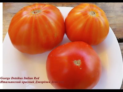 Томат Итальянский красный Джорджа Детсика (George Detsikas Italian Red)