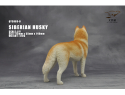 Сибирская хаски (рыжая) - Коллекционная ФИГУРКА 1/6 scale Husky (QYC003B) - QuanYingCun
