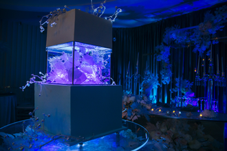 Зимняя сказка