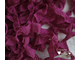 Шебби-лента Летняя роза от производителя "Страна лент"