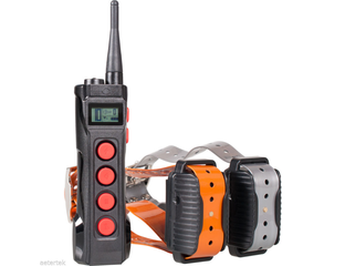AETERTEK 919