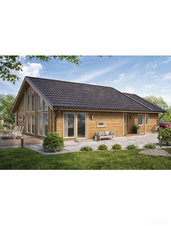 odnoetazhnie-doma-iz-profilirovannogo-drusa-udachnyi