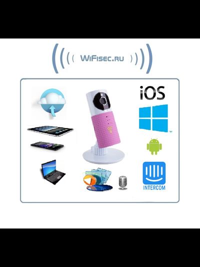 Видеоняня /WiFi видеокамера CleverDog Rose с DVR