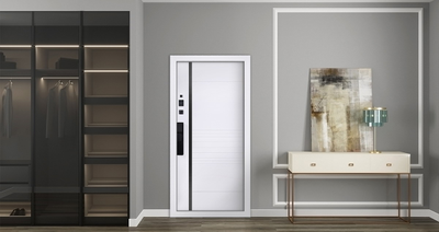 Стальная дверь   Аша 3Д (биометрический замок). Заказная модель.