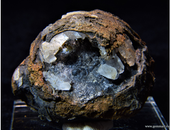 Гипс и псиломелан в полости ракушки. 48*42*38мм