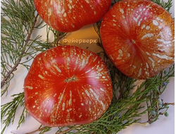 Томат Фейерверк