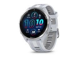 Garmin Forerunner 965 Titanium Bezel with Whiteston Case and Whiteston/Powder Gray Band (010-02809-01 / 010-02809-11 / 010-02809-81)