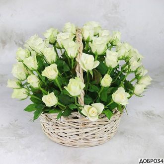 Корзина из 51 белой розы «Квадра»
